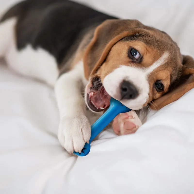 Goofy Tails Classic Bone- Small Interactive Chew Dog Toy | Blue