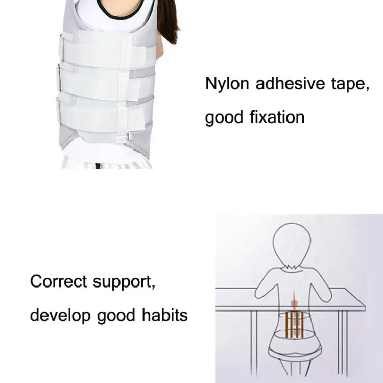 Mesh Style Thoracolumbar Fixation Belt Strap Type Protective Gear with Airbag, Specification: S